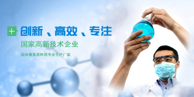 創(chuàng)新、高效、專注